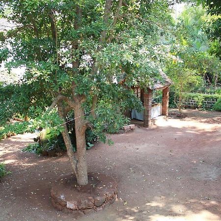 Cancio'S House Hotel Aldona Bagian luar foto
